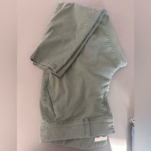 Loft Plus Pants Size 16 Green